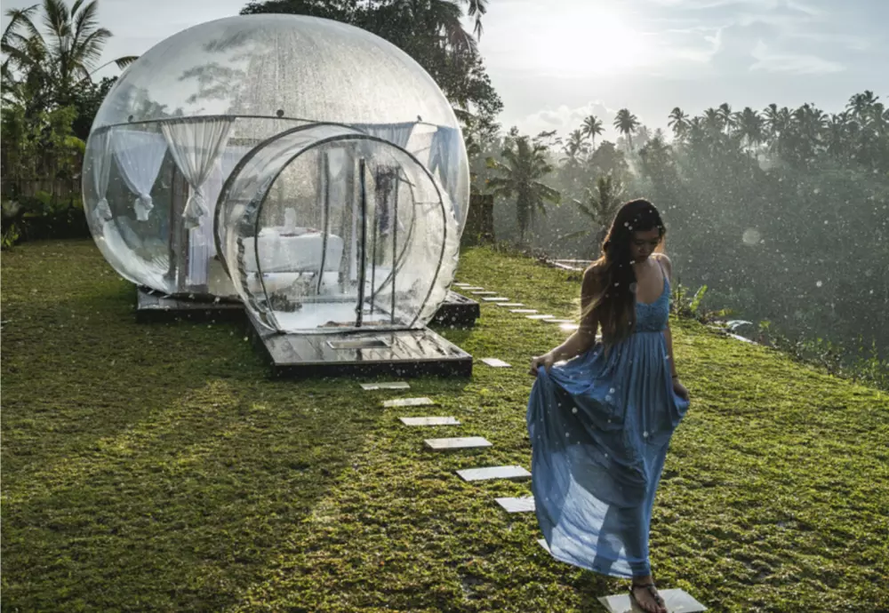 night sky bubble tent